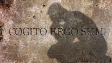 Cogito ergo sum.