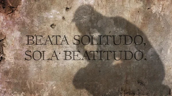 Beata Solitudo, Sola Beatitudo. — Stok fotoğraf