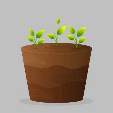 Yerdeki Bitki Filizleri Gri Arkaplanda İzole Edilmiş.