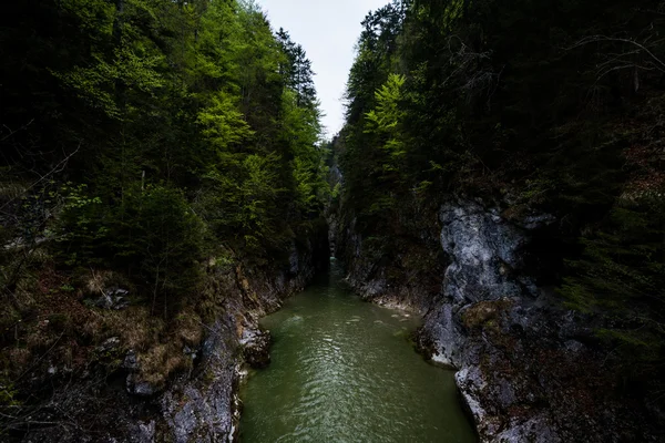 Dramática garganta del valle del río alineada con árboles en Tirol, Austria —  Fotos de Stock