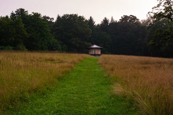 Sentier gazonné naturel menant à travers le champ jusqu'à la petite cabane rouge dans les bois — Photo