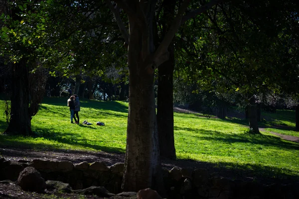 Paar küsst sich im Sonnenlicht romantischen Park grüne Natur — Stockfoto