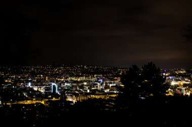 Ağaç Silouhette Stuttgart manzara görünümü gece parlayan şehir