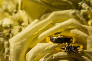 Altın elmas alyans birlikte parlak sarı çiçek yaprakları