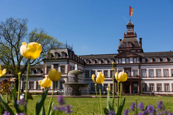 Slottet Philippsruhe Hanau exteriör arkitektur utanför Monument — Stockfoto