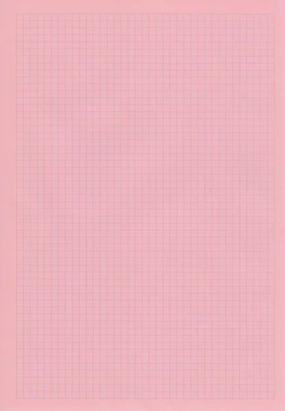 Pink squared notebook sheet
