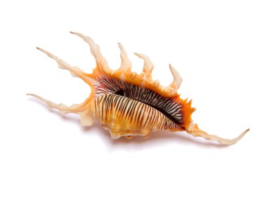 Mandraki Limanı tekneler. Rhodes Town, Rhodes, Yunanistan. 