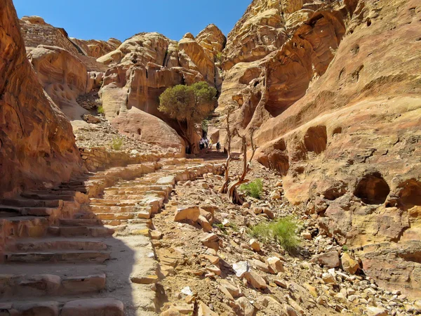 De trap in de aanloop naar het klooster Al Dayr rots. Petra, Jordan. — Stockfoto