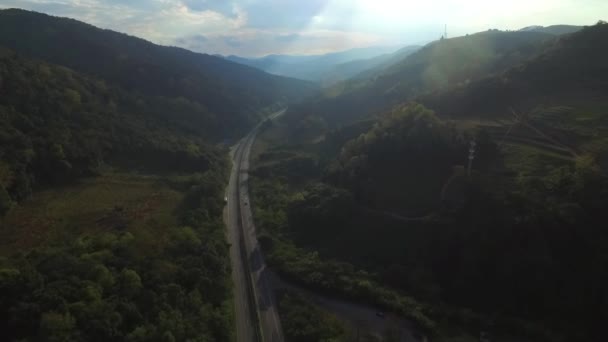 Aerial View Highway Forest — Stock Video