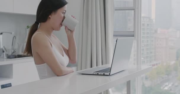 Businesswoman za pomocą komputera pracującego w mieszkaniu — Wideo stockowe