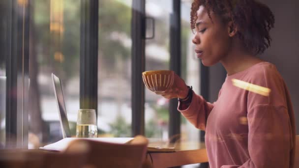 Söt ung afrikansk tjej som jobbar på kafé vid fönstret — Stockvideo