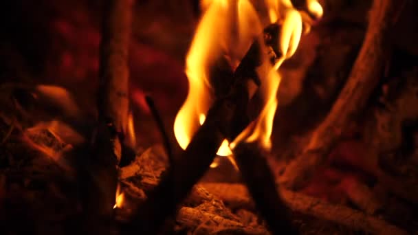 Close up bonfire burning — Stock Video