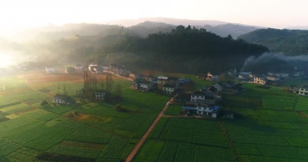 田舎の春の空中風景 — ストック動画