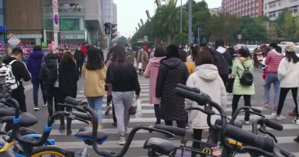 Gente caminando por la caña — Vídeo de stock