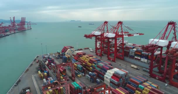 Shenzhen container port — Stock Video