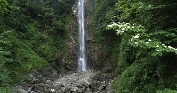 Genom skogen utsikt över vattenfallet i berget — Stockvideo