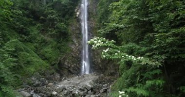 Yaz dağında şelale