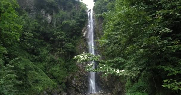 Hermosa cascada en la montaña — Vídeo de stock