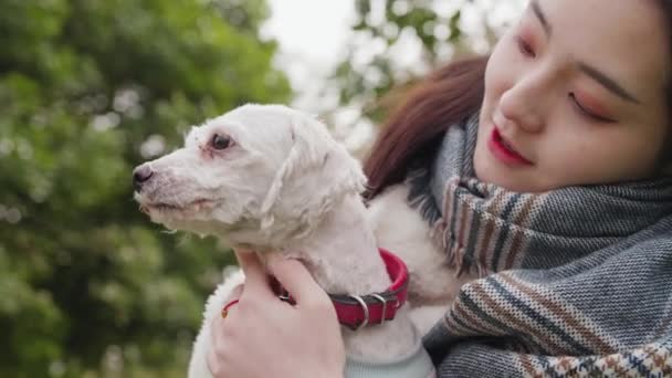 Chica asiática tocar el perro — Vídeo de stock