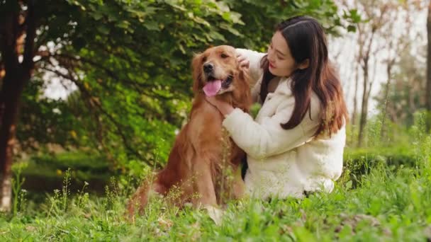 Animais de estimação se dão bem com as pessoas — Vídeo de Stock