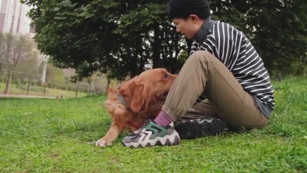 Labrador hund smeks av människan — Stockvideo