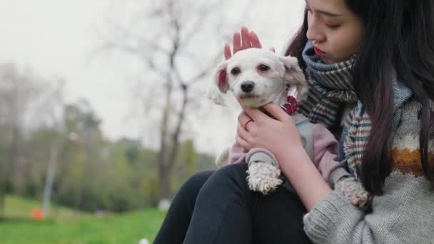 Jovem mulher pats seu favorito fofo branco cão ao ar livre — Vídeo de Stock