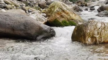 Dağda temiz bir dere var.