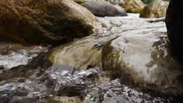 Prachtige natuur stroom achtergrond in de berg — Stockvideo