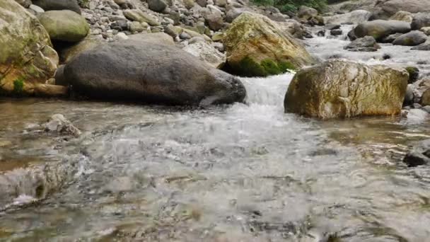 Чистый ручей в горах — стоковое видео