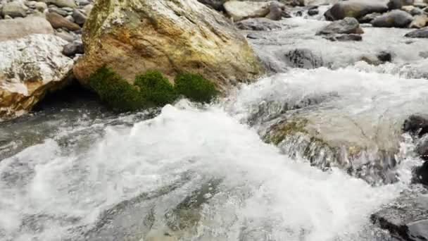 Corriente limpia en la montaña — Vídeos de Stock