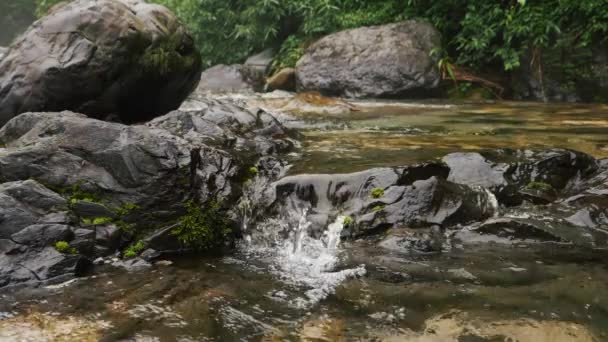 Agua corriente limpia en la montaña — Vídeo de stock