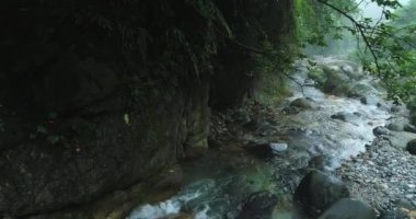 Güzel doğa akışı arkaplanının görünümünü izle