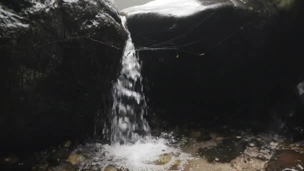 Primer plano del agua del arroyo en la montaña — Vídeos de Stock