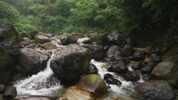 Hermosa naturaleza arroyo fondo en la montaña — Vídeo de stock