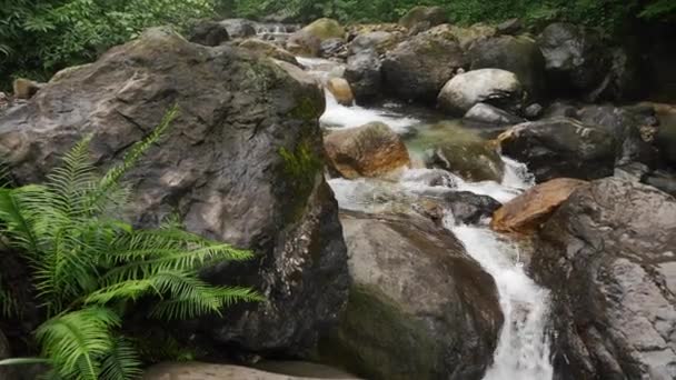 Hermosa naturaleza arroyo fondo en la montaña — Vídeos de Stock