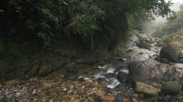 美丽的溪流在山清水秀 — 图库视频影像