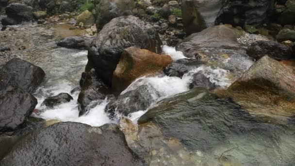 Mouvement lent de la nature fond de cascade coulant eau du ruisseau — Video