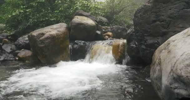 流れ落ちる川の流れの自然の背景を閉じる — ストック動画