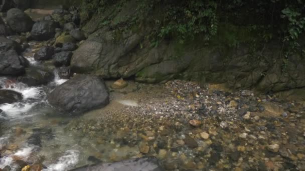 Beau ruisseau dans la montagne — Video