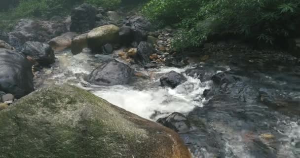 Gros plan de la nature fond de cascade coulant l'eau du ruisseau — Video