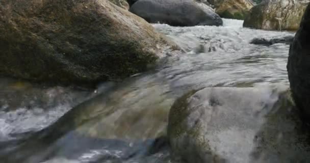 Gyönyörű természet patak háttér a hegyen — Stock videók