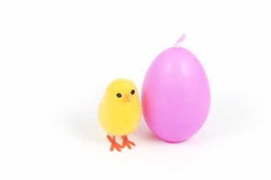 Paskalya, küçük civciv ve yumurta