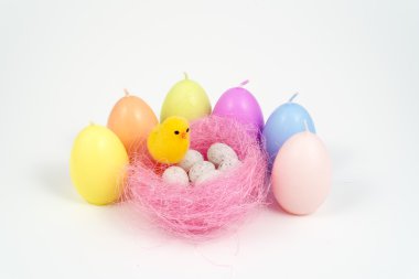 Paskalya, küçük civciv ve yumurta