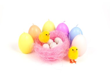 Paskalya, küçük civciv ve yumurta