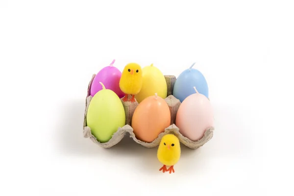 Easter, small chick and eggs — Stock Photo, Image