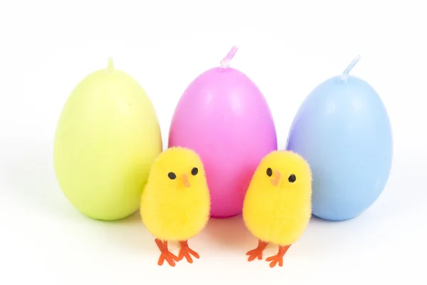 Easter, small chick and eggs — Stock Photo, Image