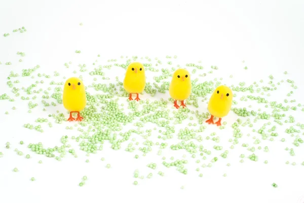 Easter, small chick and eggs — Stock Photo, Image