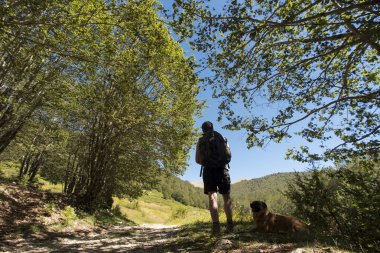 İnsan ve köpek dağda yürüyüş yapıyor