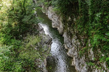 Kanyon, dağ nehri Ak Kayalar 'ın arasından akar, astropikal orman manzarası. Yew-boxwood Korusu, Sochi Ulusal Parkı