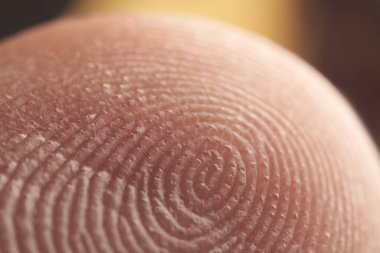 Parmak izinin makro görüntüsü